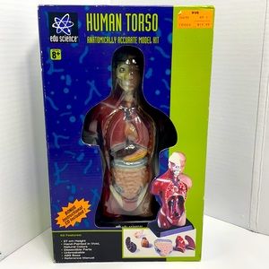 Edu Science Human Torso Anatomically Accurate Model Kit, New in box